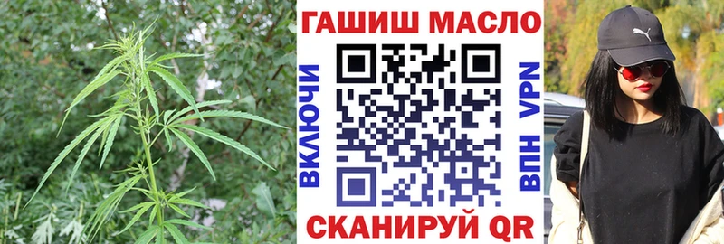 Дистиллят ТГК жижа  нарко площадка как зайти  Канаш  купить наркотик 