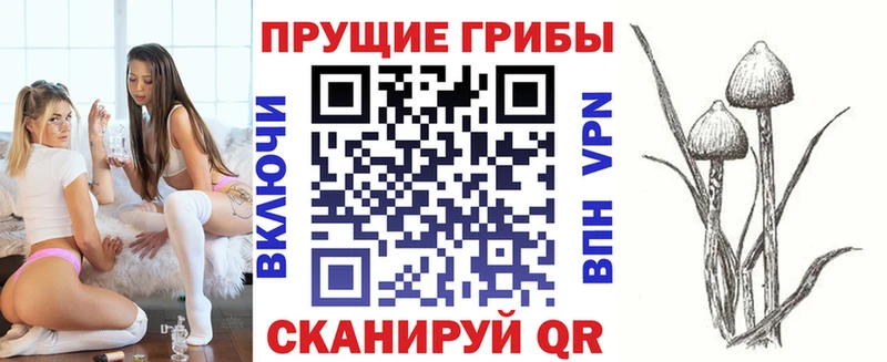 Псилоцибиновые грибы MAGIC MUSHROOMS Канаш